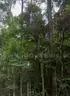 Affordable Lot Near Robinhood Lake Brandon, MS