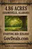 INSTANT EQUITY!  4.85 ACRES IN ADAMSVILLE, ALABAMA — PERFECT END-OF-YEAR GIFT!
