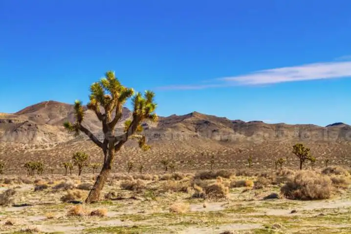 Huge 10.24ac lot San Bernardino County CA
