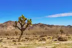 Huge 10.24ac lot San Bernardino County CA
