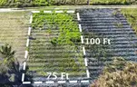 Invest in Paradise-7500sqft lot Belize