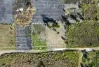 Invest in Paradise-7500sqft lot Belize