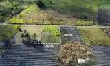 Invest in Paradise-7500sqft lot Belize