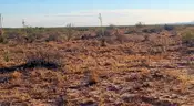 Big 10ac lot in Luna County, NM. Seller Financing!!