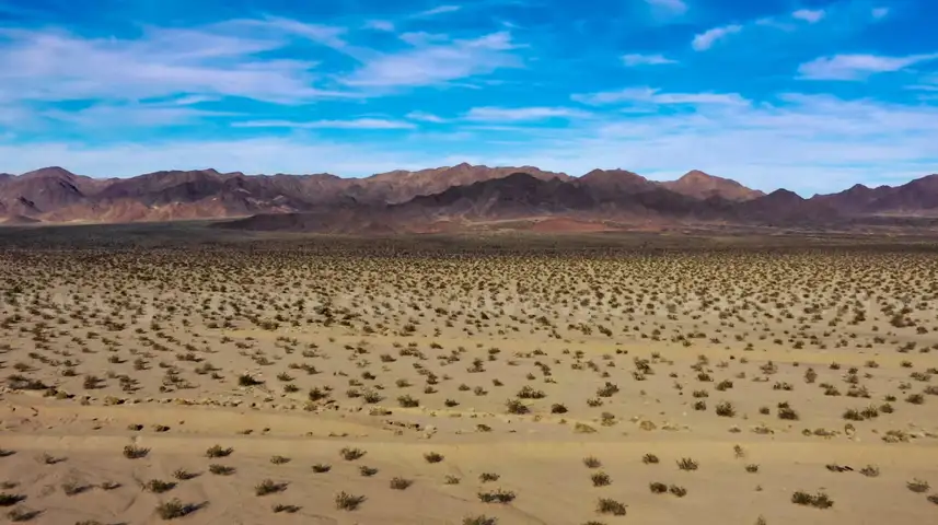 Huge 2.5ac lot San Bernardino County CA. No back taxes or any liens. No HOA/POA. NO RESERVE!