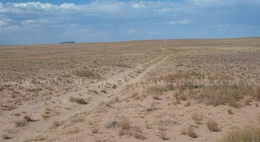 2.5ac residential lot in Navajo County, AZ. No Restrictions! No HOA !!