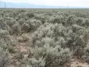 Big 9.24ac Lot in Rio Arriba County NM. Low price for quick sale!! No HOA.
