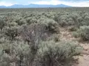 Big 13.84ac Lot in Rio Arriba County NM. Seller Financing. No Credit Check!