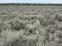 Big 13.84ac Lot in Rio Arriba County NM. Seller Financing. No Credit Check!