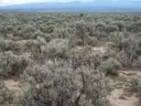 Big 13.84ac Lot in Rio Arriba County NM. Seller Financing. No Credit Check!