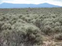 Big 9.24ac Lot in Rio Arriba County NM. Bid and Assume! NO CREDIT CHECK!