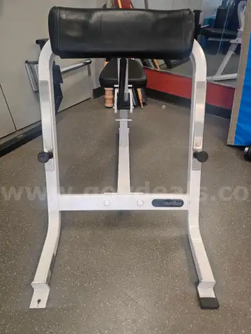 Preacher Curl Station