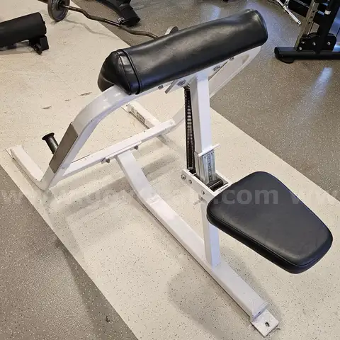 Preacher Curl Station