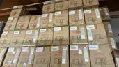 1000 Ea. (Approx.)  6-Feet Pro A/V Series Component Video Cable -AUD-1375-06