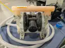ARO PD10P-APS-PCC Double Diaphragm Pump