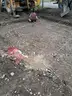 ERE 4000 800KVa Substation in Relocatable Concrete Building (Unused 2023)