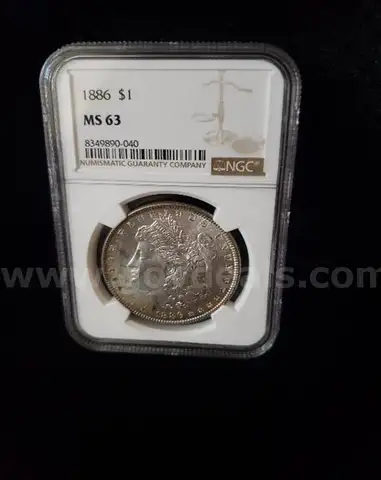 1886 MORGAN SILVER DOLLAR ~ BEAUTIFUL FRONT SIDE &#x26; REVERSE SLIGHTLY TONNED NGC MS63!