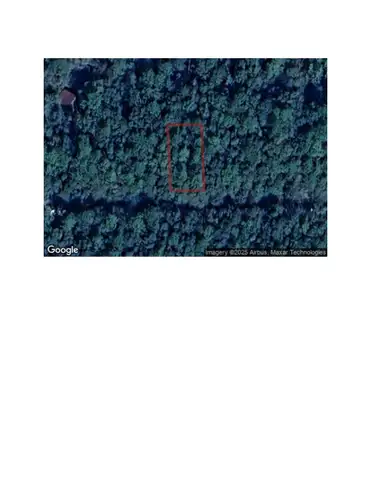 Alabama Wooded Land Parcel – Geneva County – Tax Deed – Low Taxes, Private Forest Lot
