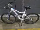 Schwinn Ranger Bicycle