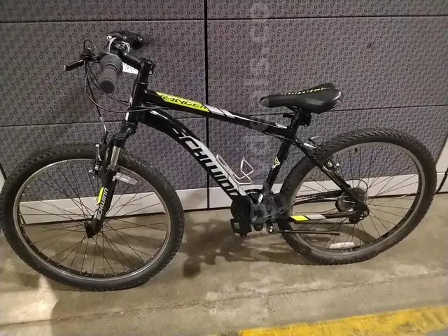 Schwinn Ranger Bicycle