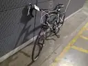 Fuji sportif bicycle