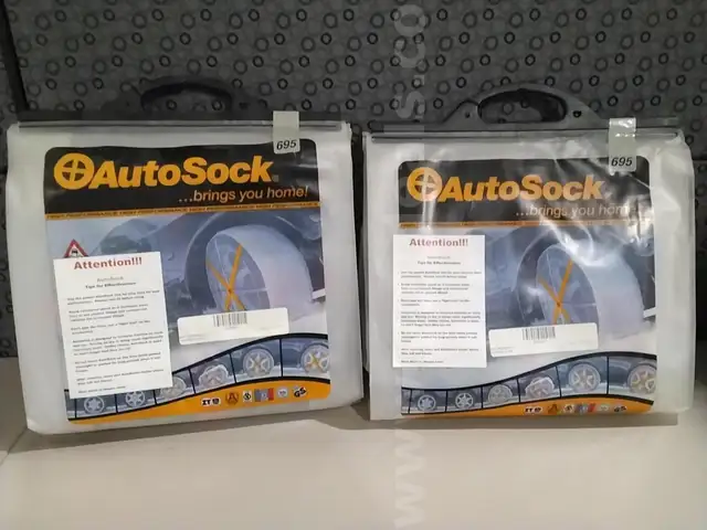 Auto socks