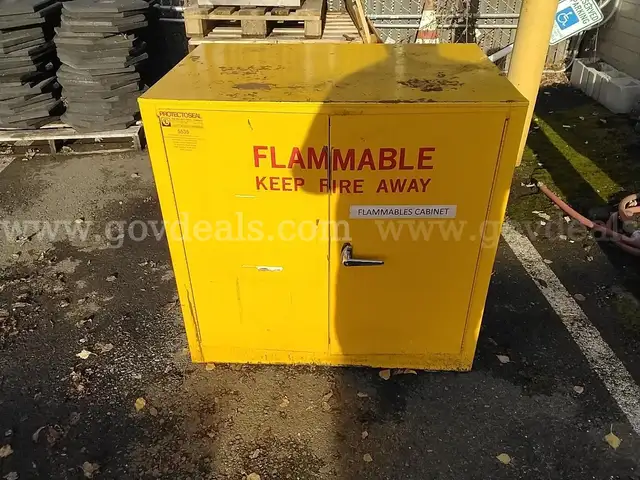 Protector Seal Fire Cabinet