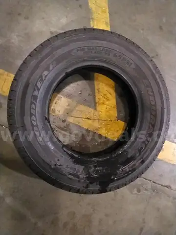Goodyear Endurance Tire