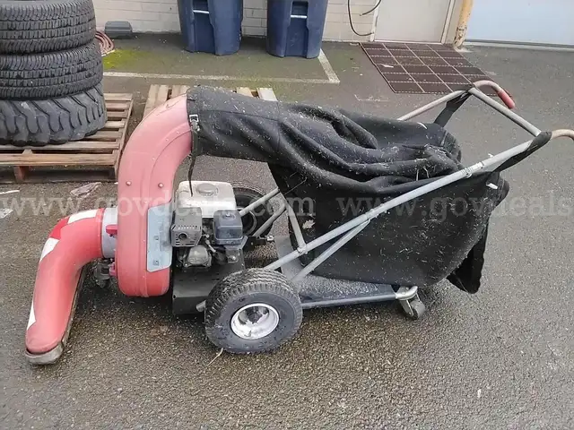 Parker Leaf Vacuum