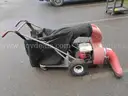 Parker Leaf Vacuum