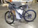 TotGuard Ebike