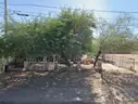 Tax Lien Certificate Sale - 1307 W SHERMAN ST PHOENIX AZ