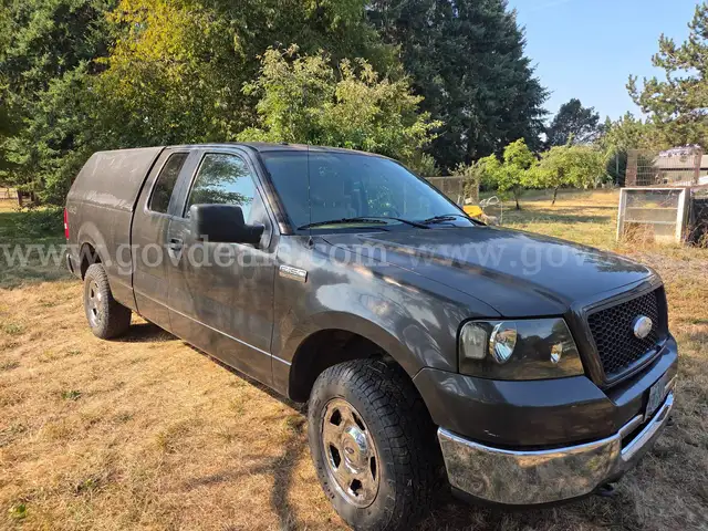 2006 Ford F-150