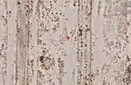 0.20-Acre Lot in Nye County, Nevada