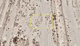 0.20-Acre Lot in Nye County, Nevada