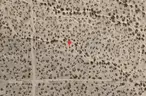 2.21-Acre Lot in Kingman, AZ