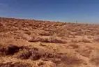 2.50-Acre Land in Apple Valley, CA