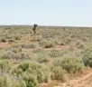 Vacant Land for Sale &#x2013; 10.94 Acres in Kern County, CA!