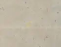 5-Acre lot in Twentynine Palms, CA