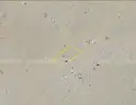5-Acre lot in Twentynine Palms, CA