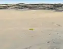 5-Acre lot in Twentynine Palms, CA
