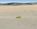 5-Acre lot in Twentynine Palms, CA