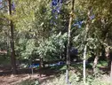 Discover 1.90 Acres in Nevada City, California