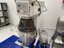Planetary Mixer