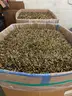 .223 / 5.56 Brass