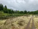 29.52 Acre Gravel Pit (Inactive) in Quilcene, Washington