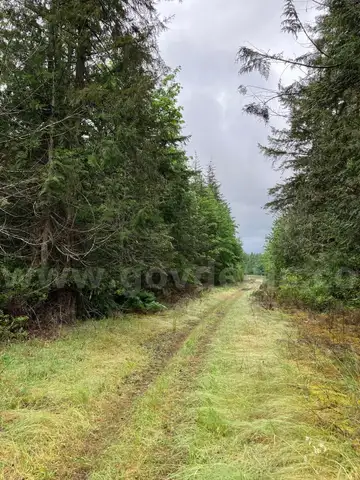 29.52 Acre Gravel Pit (Inactive) in Quilcene, Washington