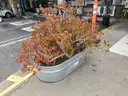 Patio Furniture, Grills, Fire Pit, Planters, Chairs, Tables, 1 LOT