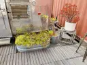 Patio Furniture, Grills, Fire Pit, Planters, Chairs, Tables, 1 LOT