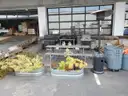 Patio Furniture, Grills, Fire Pit, Planters, Chairs, Tables, 1 LOT